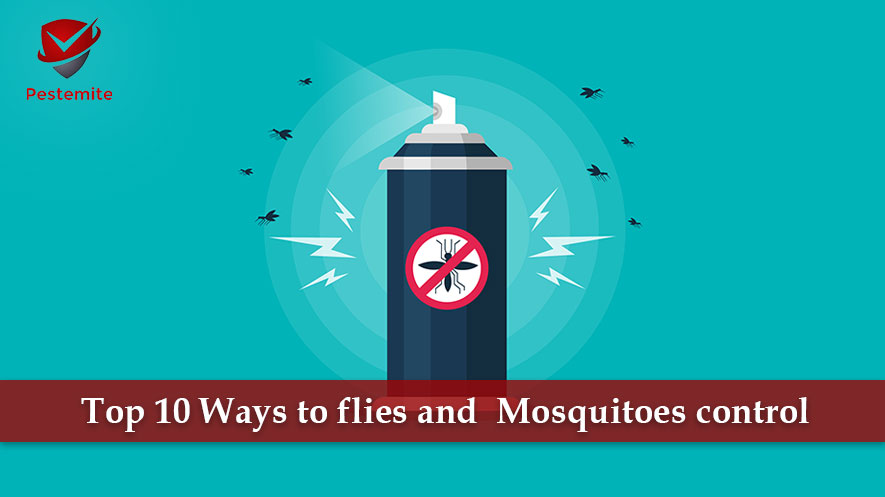 flies and mosquitoes