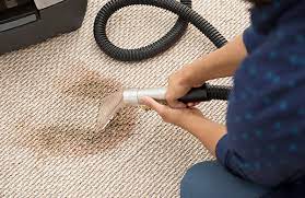 Protecting Your Family: The Importance of Allergen Removal in Carpet Cleaning